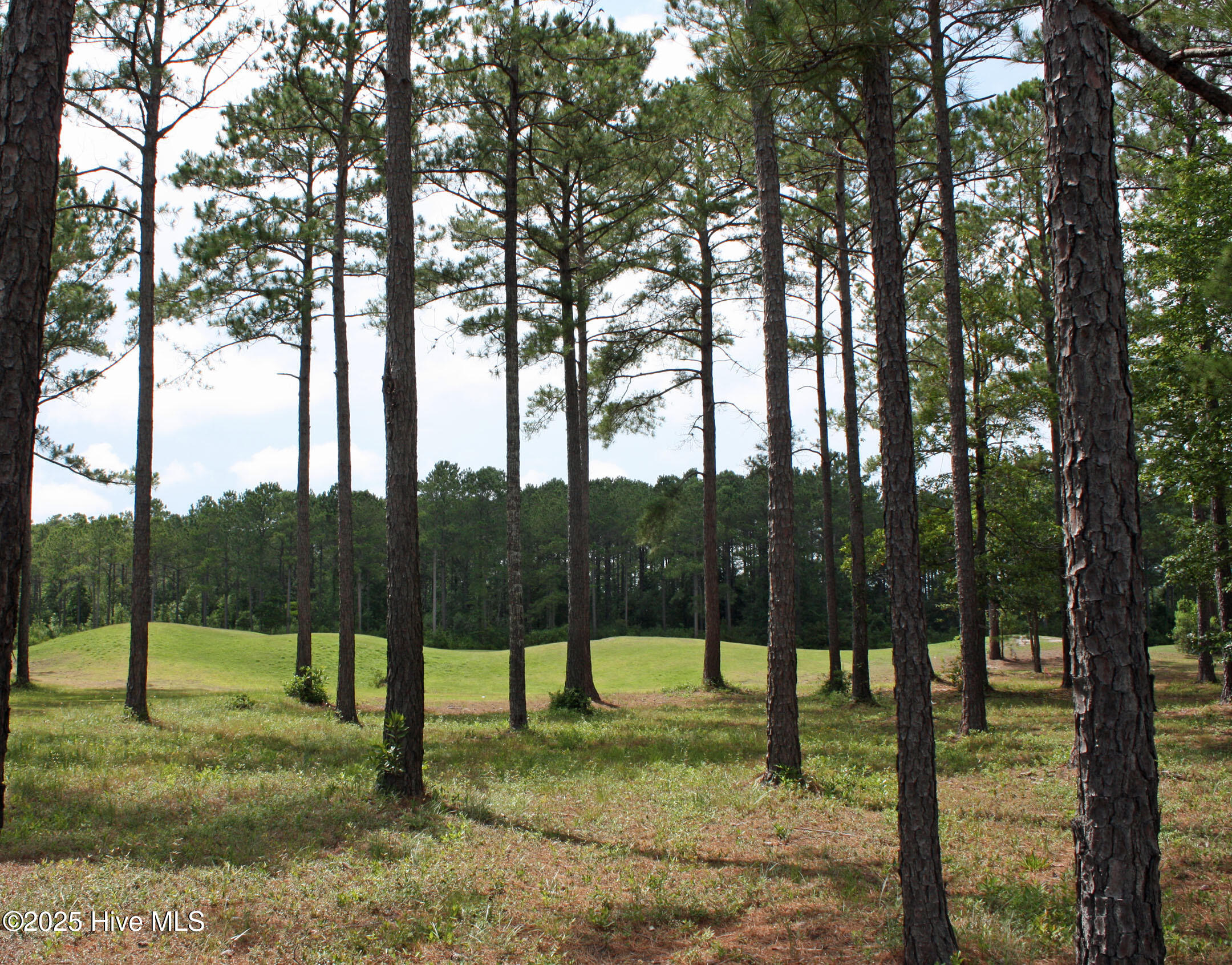 6247 Castlebrook Way Southwest Ocean Isle Beach, NC 28469 - Photo 5 of 36 Golf Homesite