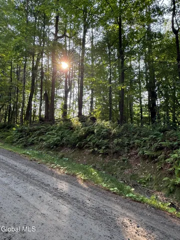 $129,000 | 352 Dickinson Hill Road, Bolton, NY 12824