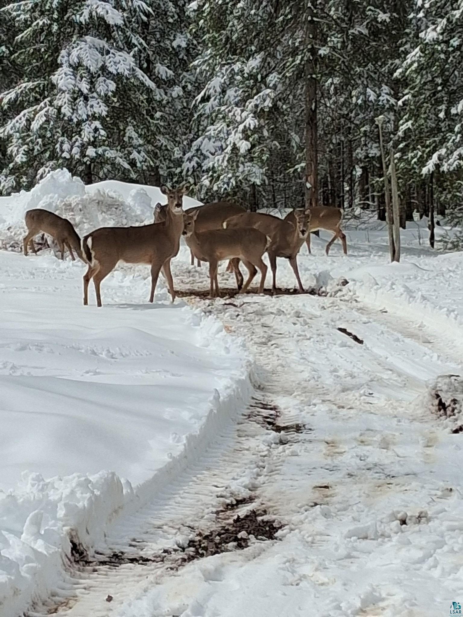 6491 South Old Lyman Lake Road South Range, WI 54874 - Photo 34 of 46