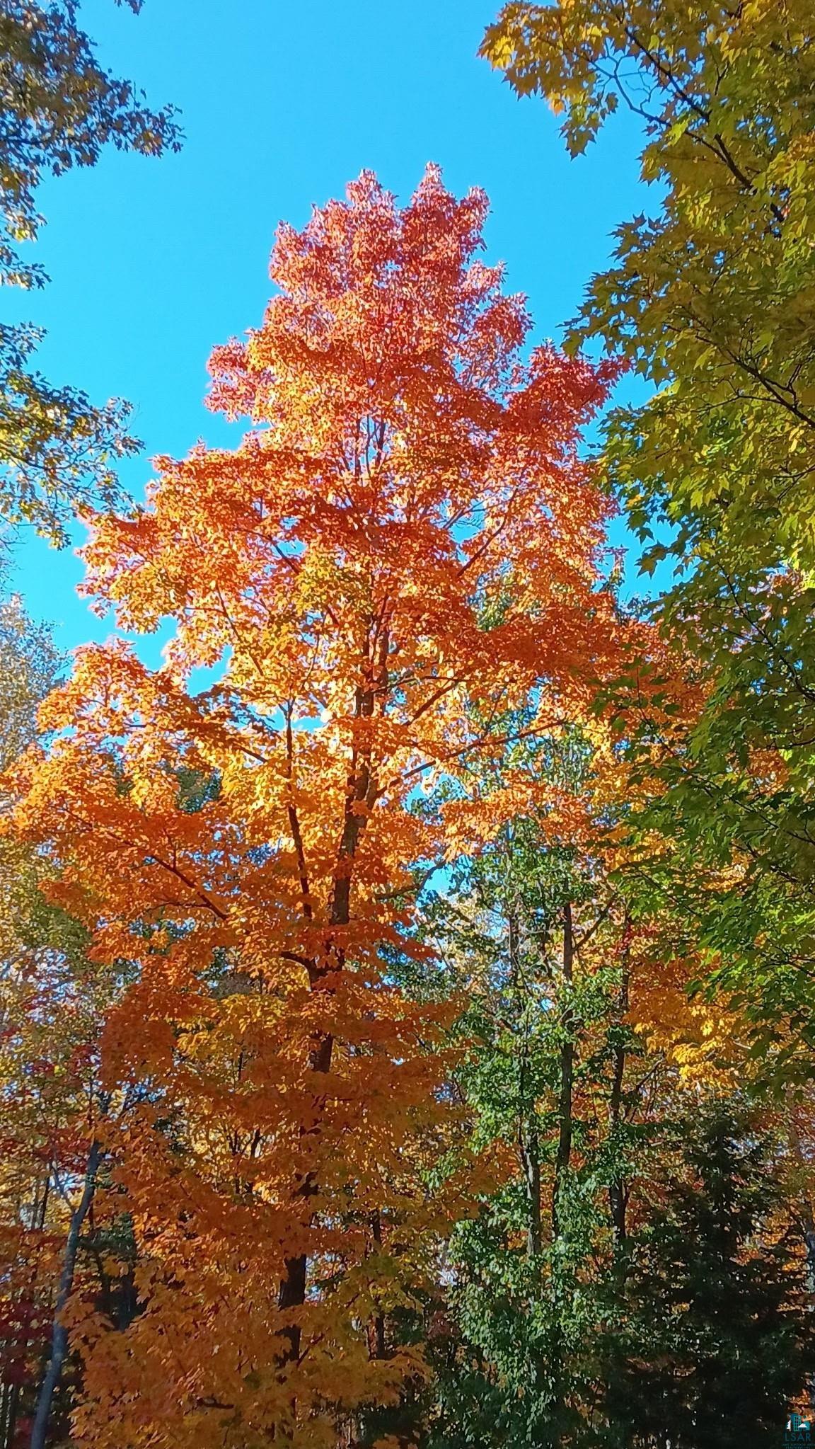 6491 South Old Lyman Lake Road South Range, WI 54874 - Photo 36 of 46