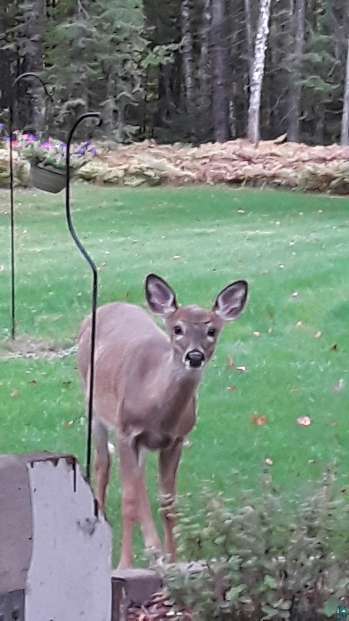 6491 South Old Lyman Lake Road South Range, WI 54874 - Photo 46 of 46