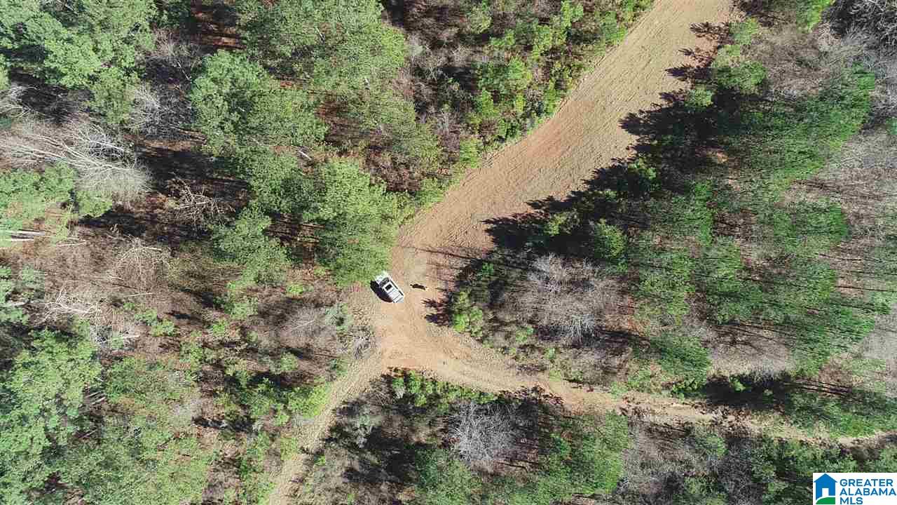 0 Baggett Road, Unit 78 / ACRES Ashland, AL 36251 - Photo 1 of 13