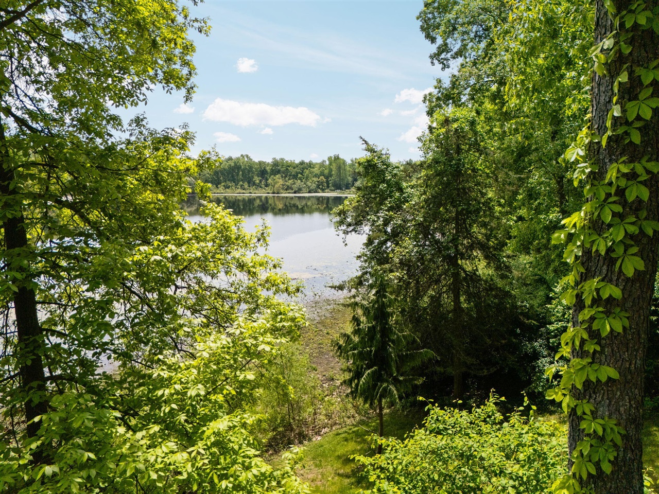 210 Spring Lake Drive Chelsea, MI 48118 - Photo 50 of 70