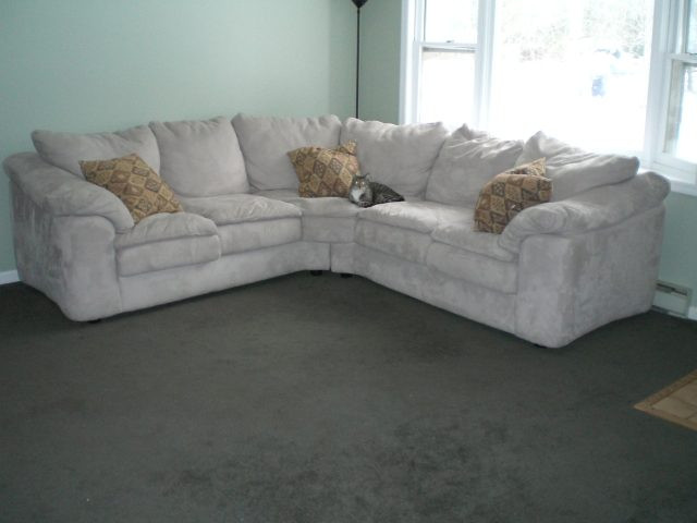 Photo 4