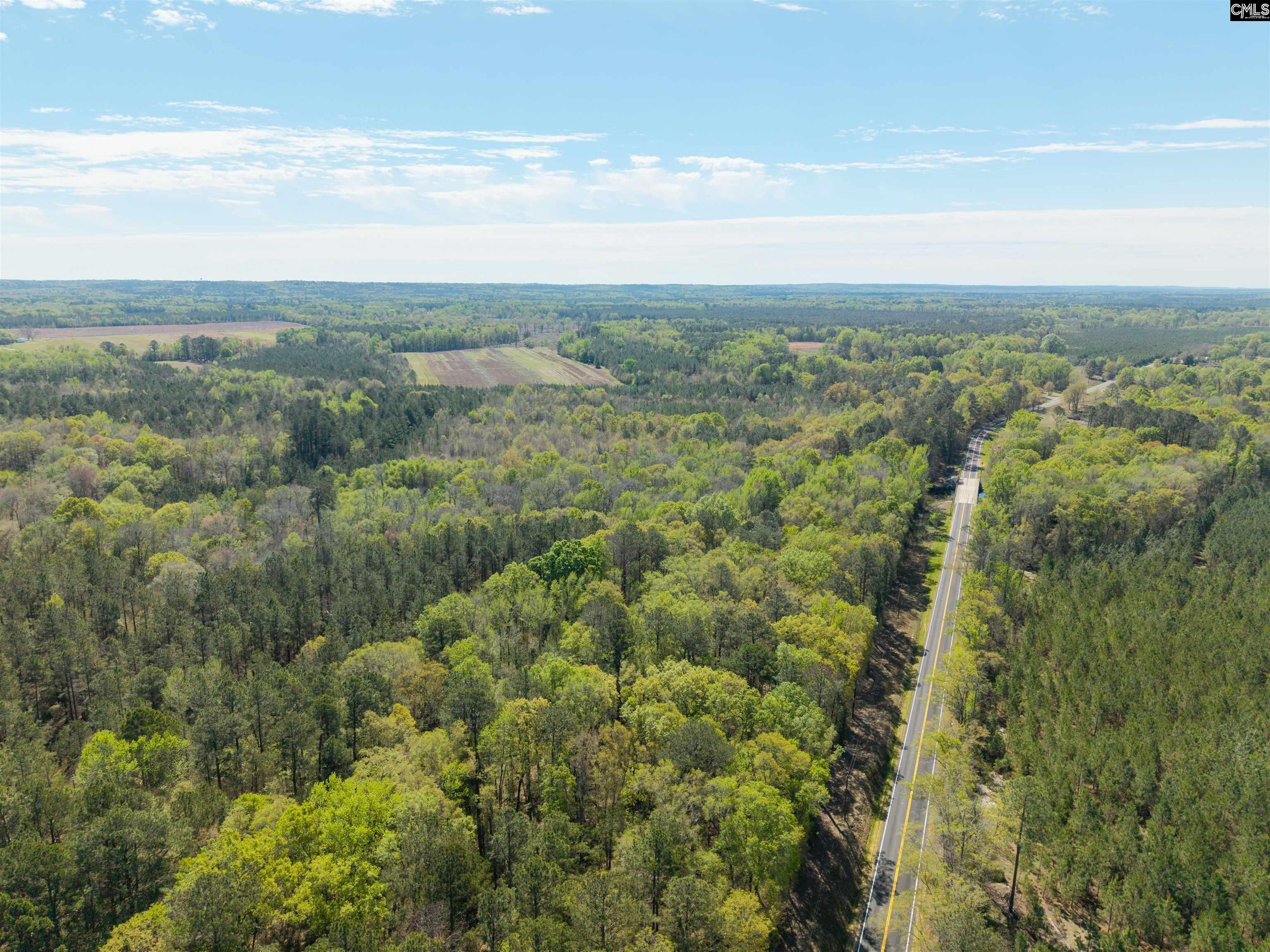 Horatio Haygood Road Rembert, SC 29128 - Photo 2 of 9