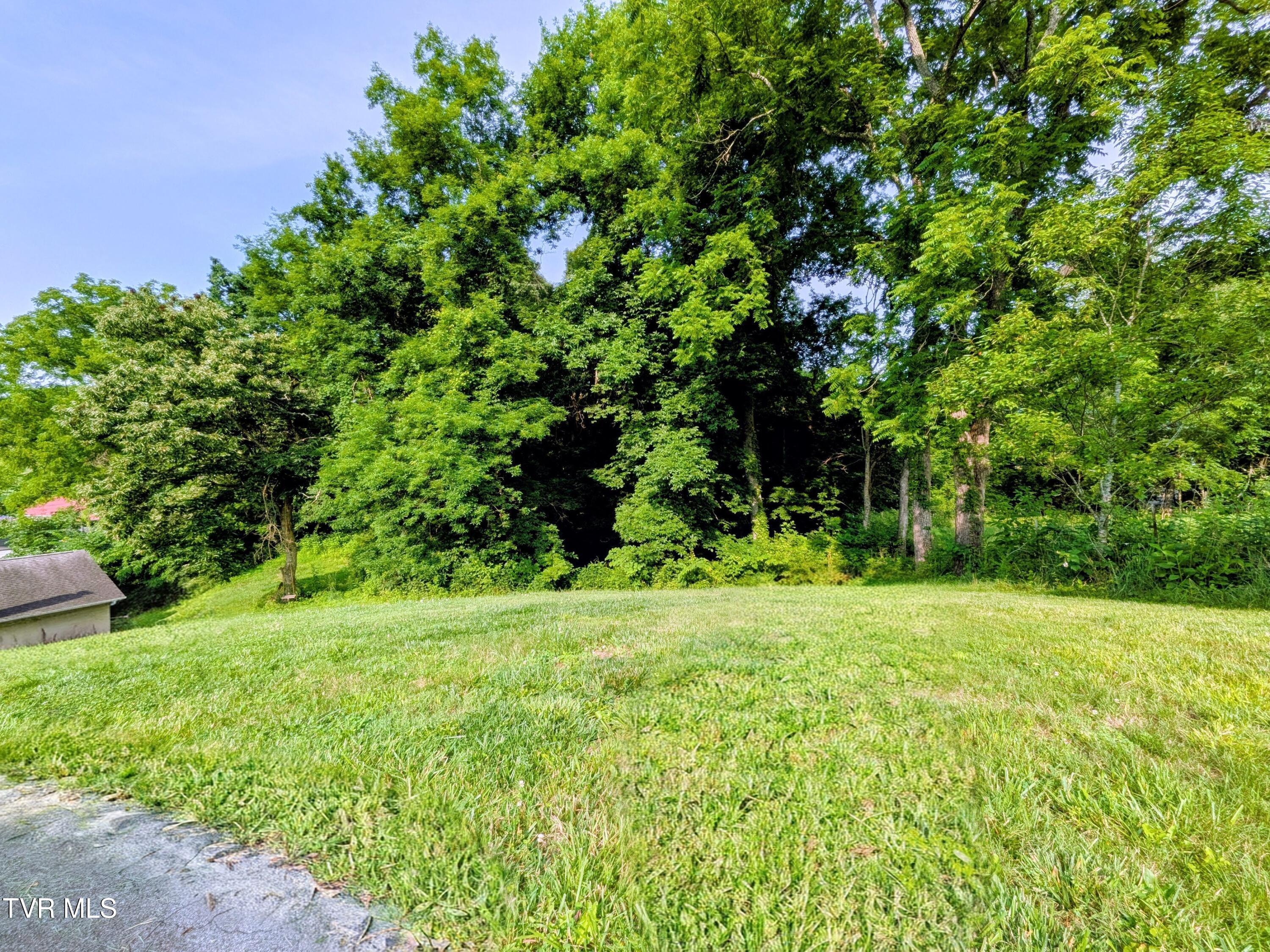 113 Nave Hollow Road Elizabethton, TN 37643 - Photo 91 of 91 Yard(3)