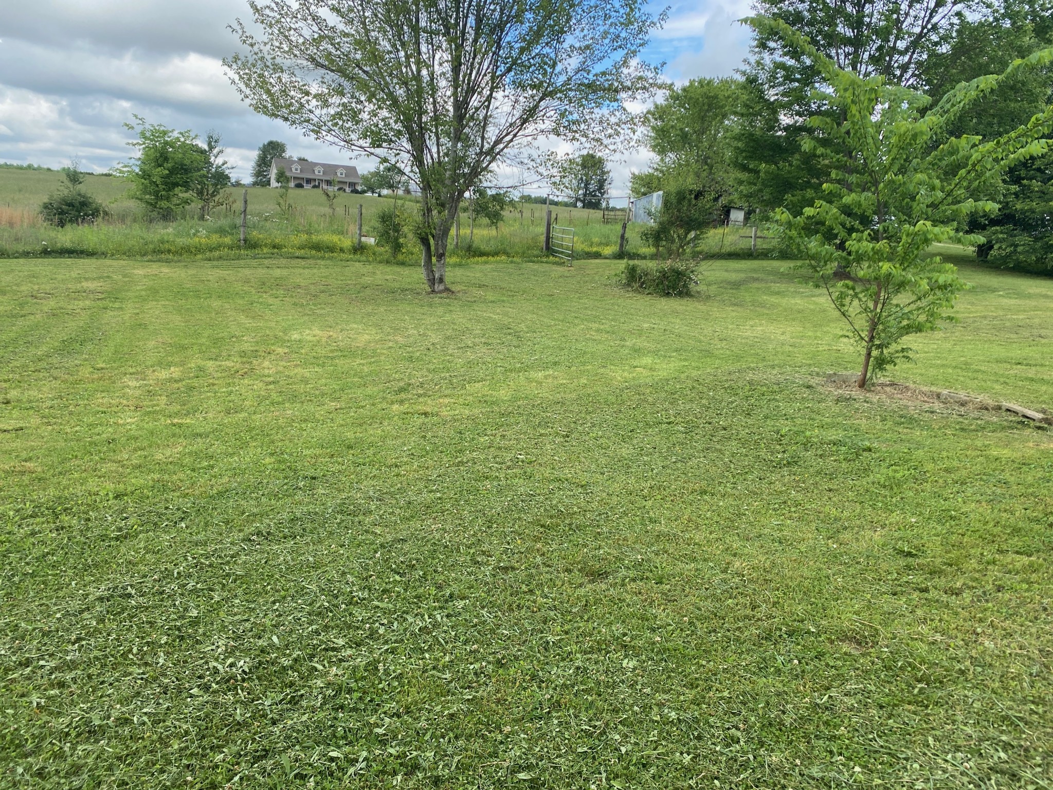 4614 Woodrow Wilson Road Springfield, TN 37172 - Photo 27 of 29 a view of a field with trees