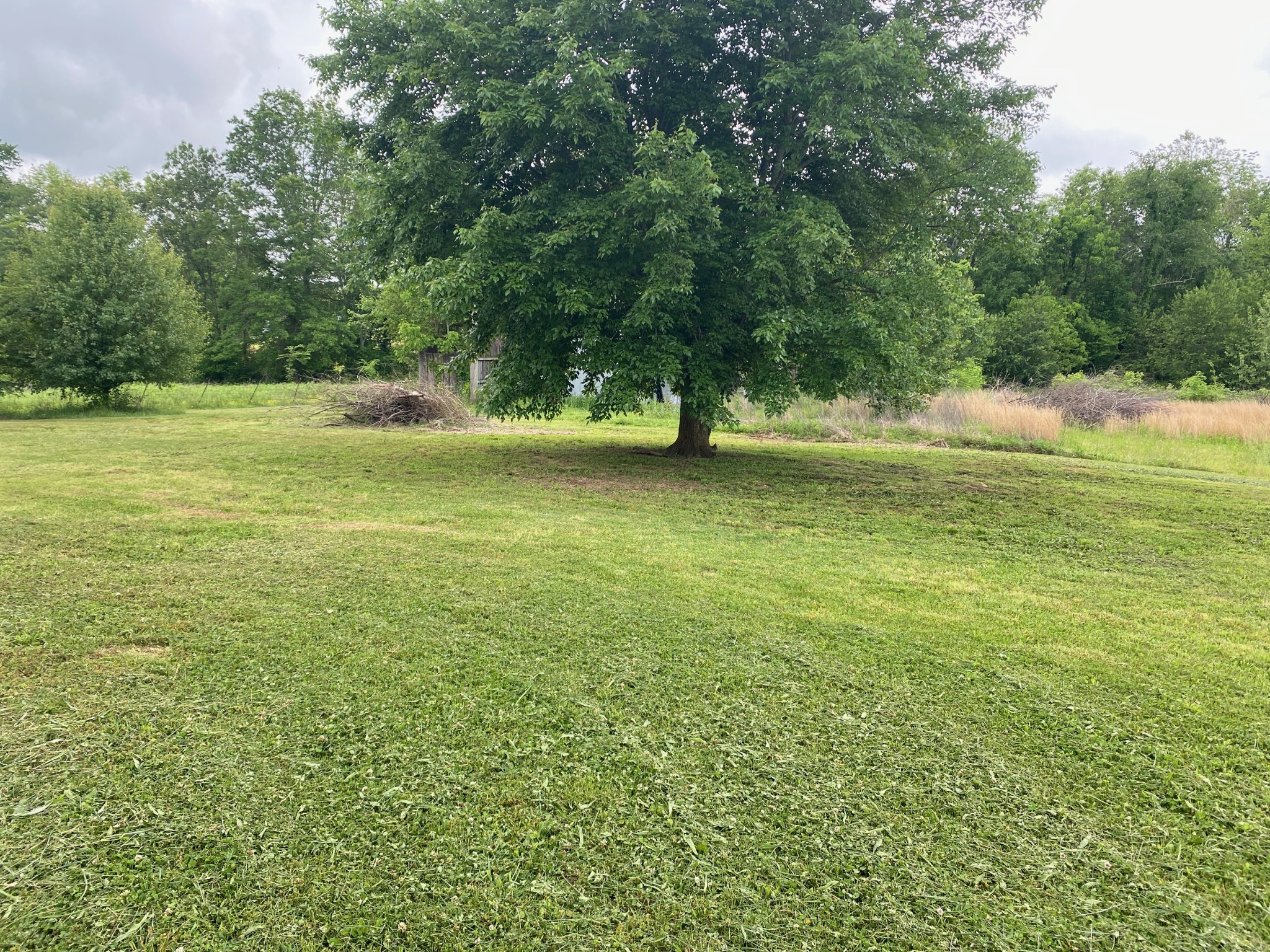 4614 Woodrow Wilson Road Springfield, TN 37172 - Photo 29 of 29