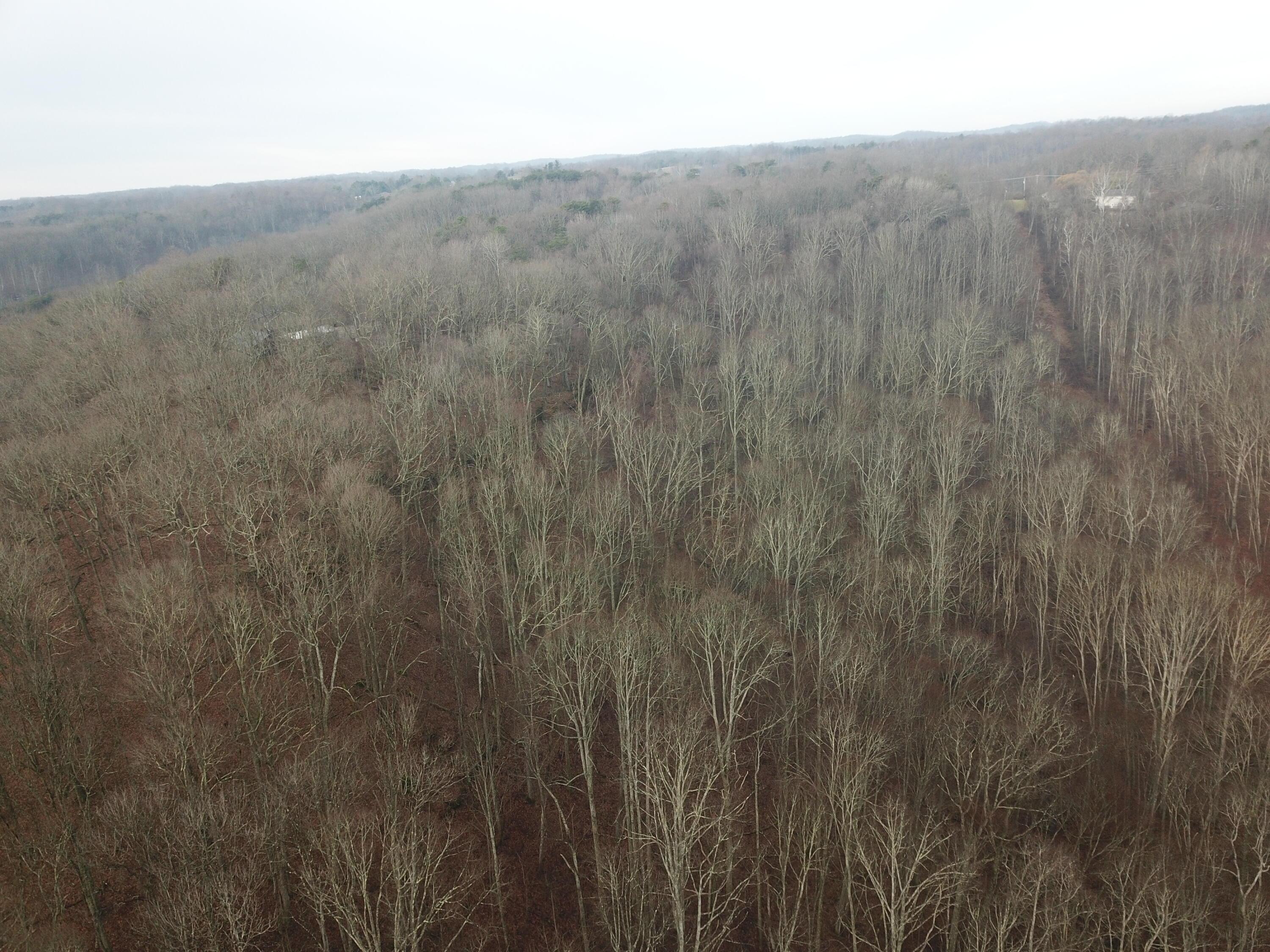 12001 West Buck Run Road Rockbridge, OH 43149 - Photo 7 of 12