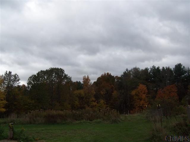 541 Platekill Road Cairo, NY 12431 - Photo 15 of 15 Photo 15