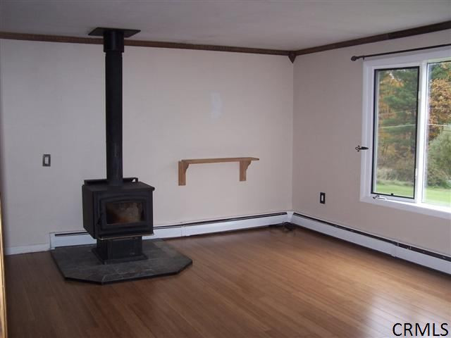 541 Platekill Road Cairo, NY 12431 - Photo 3 of 15 Photo 3