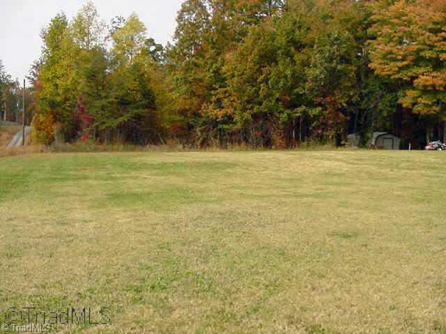 342 County Line Road Reidsville, NC 27320 - Photo 3 of 9 Other. Backyard