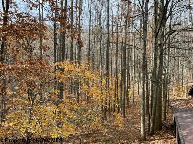 1509 Browning Road Rock Cave, WV 26234 - Photo 6 of 26 Gallery Image 6