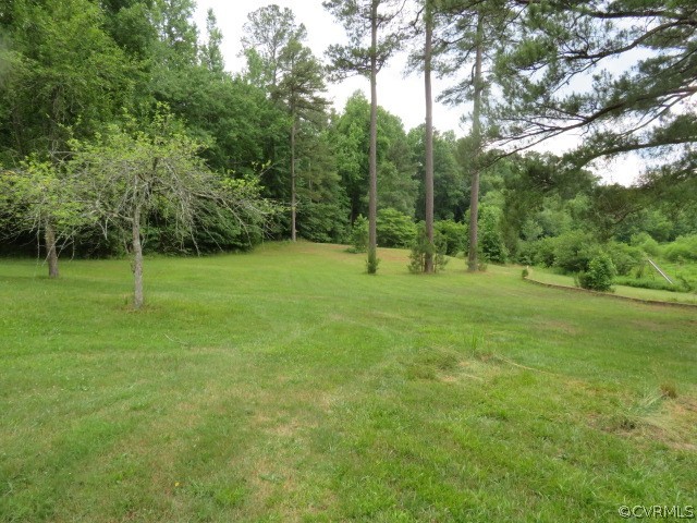 12700 Nash Road Chesterfield, VA 23838 - Photo 8 of 50 a backyard of a house with lots of green space