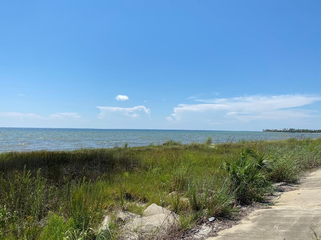 0 Redfish Street Port St. Joe, FL 32456 - Photo 5 of 9