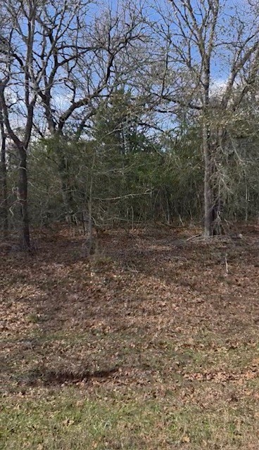 0 Fm-159 Navasota, TX 77868 - Photo 2 of 5