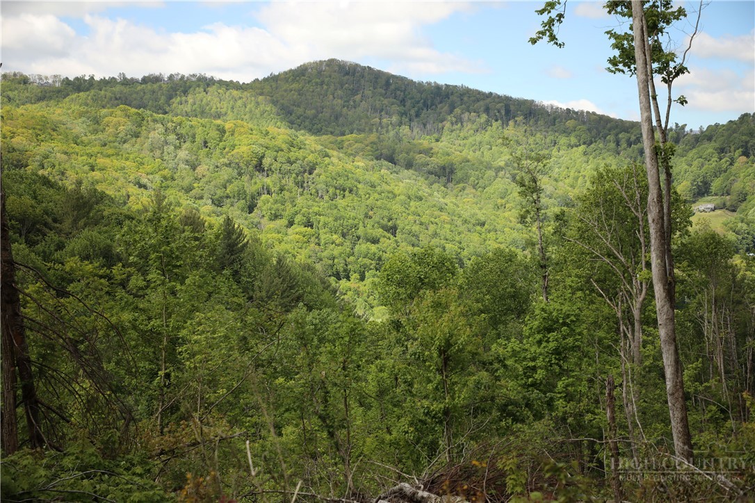 461 Reuben Wooten Road Banner Elk, NC 28604 - Photo 36 of 39 a view of a lush green forest with a mountain