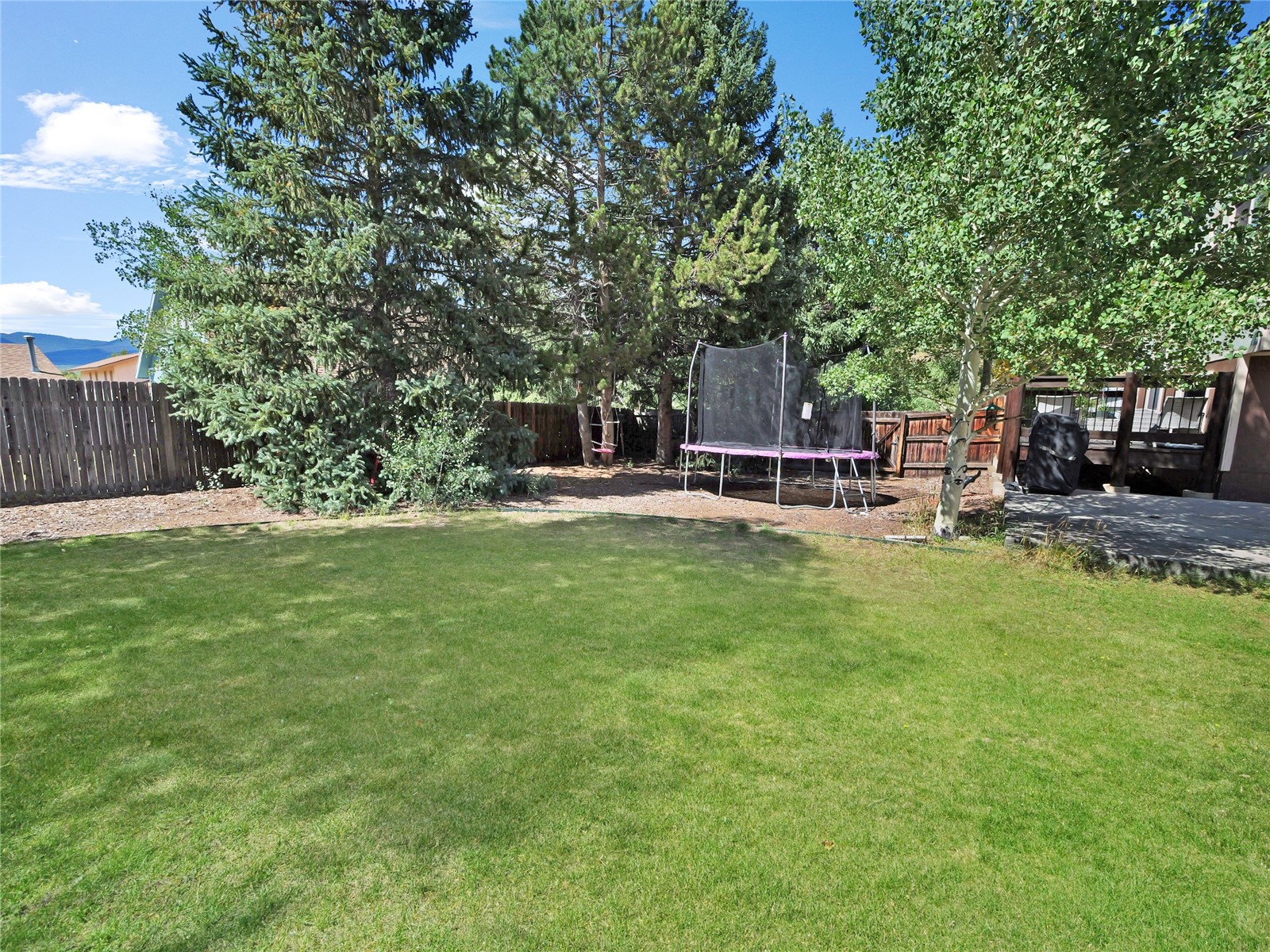 0132 Alpine Road Dillon, CO 80435 - Photo 19 of 28 Gallery Image 19