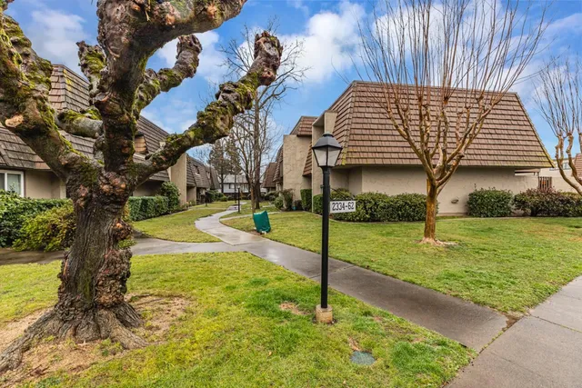 a view of a mini pool and a yard
