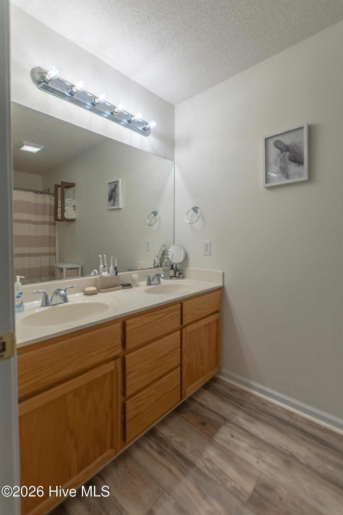 206 Hominy Court Hubert, NC 28539 - Photo 11 of 27 Primary bath