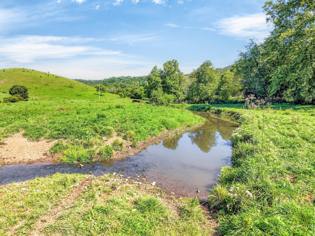 Tbd Peppers Ferry Road, Unit TRACT 4 Wytheville, VA 24382 - Photo 35 of 63 Gallery Image 35