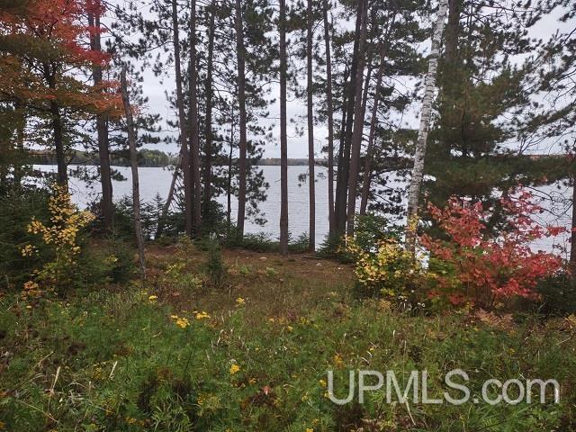 5800 Wolf Lake Road Watersmeet, MI 49969 - Photo 21 of 86
