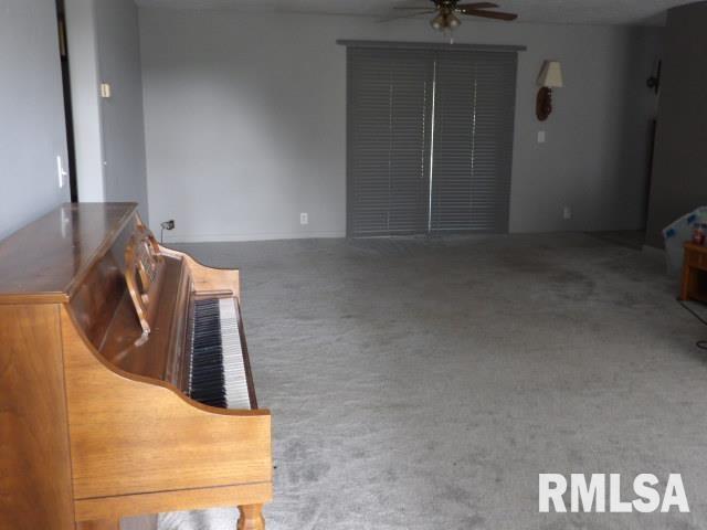 114 Pankey Road Carrier Mills, IL 62917 - Photo 13 of 30 Gallery Image 13