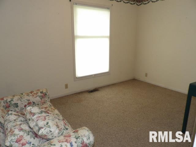 114 Pankey Road Carrier Mills, IL 62917 - Photo 14 of 30 Gallery Image 14