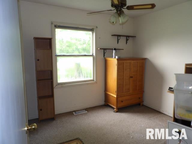 114 Pankey Road Carrier Mills, IL 62917 - Photo 17 of 30 Gallery Image 17