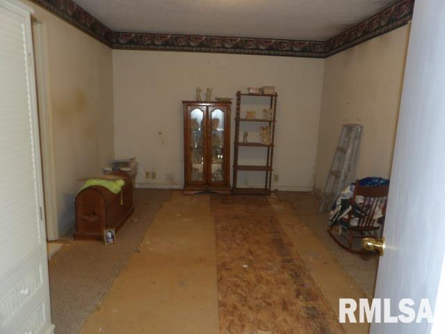 114 Pankey Road Carrier Mills, IL 62917 - Photo 19 of 30 Gallery Image 19