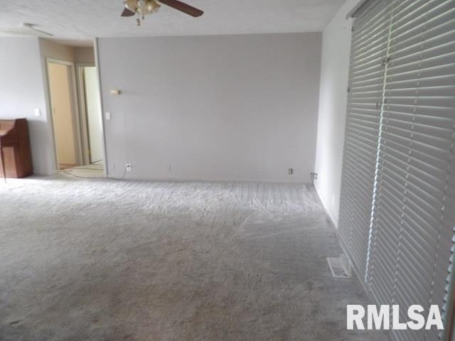114 Pankey Road Carrier Mills, IL 62917 - Photo 5 of 30 Gallery Image 5