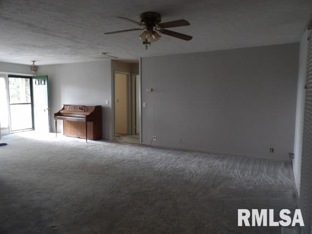 114 Pankey Road Carrier Mills, IL 62917 - Photo 6 of 30 Gallery Image 6