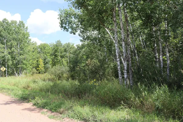 $57,900 | Tbd Little Oak Lake Road, Kerrick, MN 55756