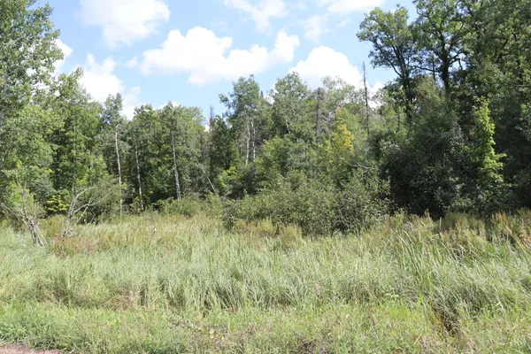 $57,900 | Tbd Little Oak Lake Road, Kerrick, MN 55756