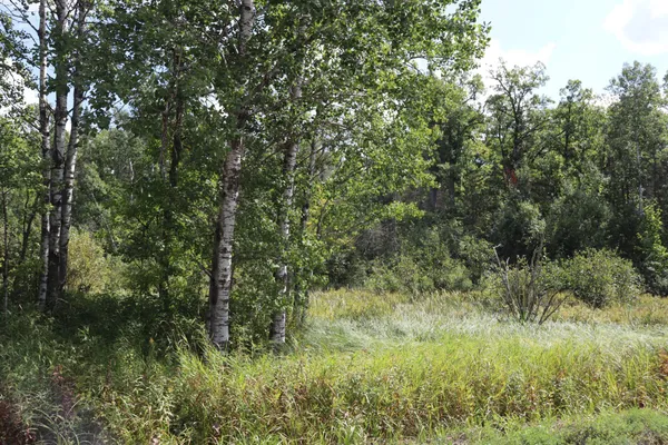 $57,900 | Tbd Little Oak Lake Road, Kerrick, MN 55756