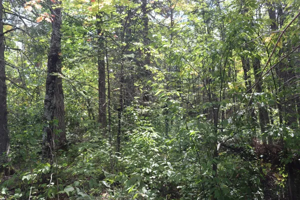 $57,900 | Tbd Little Oak Lake Road, Kerrick, MN 55756