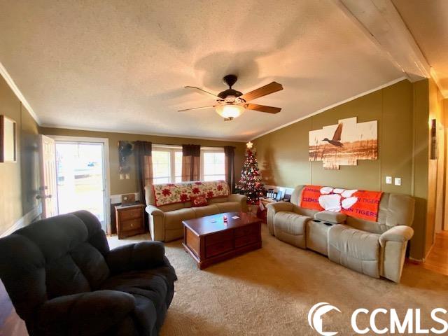 493 Swinton Road Conway, SC 29527 - Photo 5 of 30 Gallery Image 5