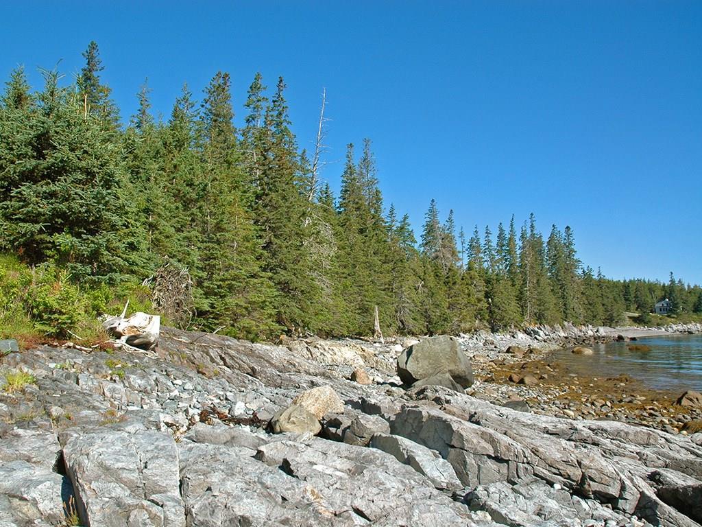 0 Rose Hill Road Swans Island, ME 04685 - Photo 3 of 19 Photo