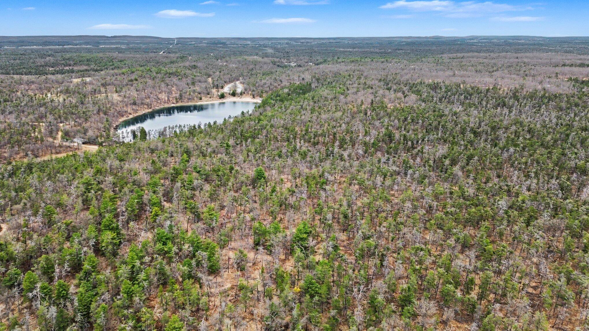 Gun Club Road Grayling, MI 49738 - Photo 5 of 17 004_dji_0339_327