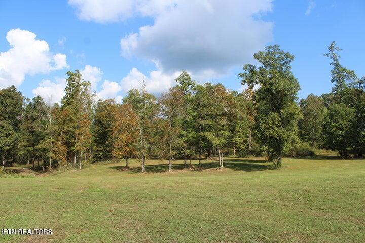 2891 Stockton Road Jamestown, TN 38556 - Photo 15 of 50 stockton 14