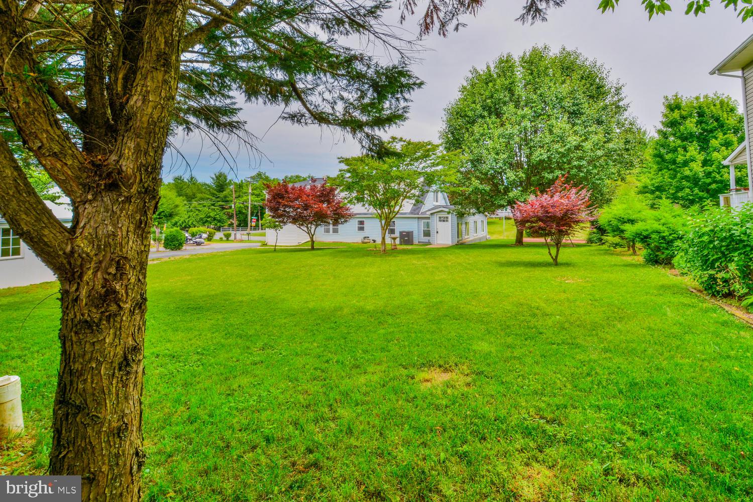6034 Bartonsville Road Frederick, MD 21704 - Photo 55 of 56 Rear level yard