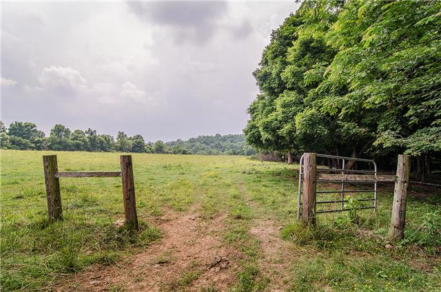 3463 Catholic Church Road Cedar Hill, TN 37032 - Photo 11 of 19 Verdant pasture