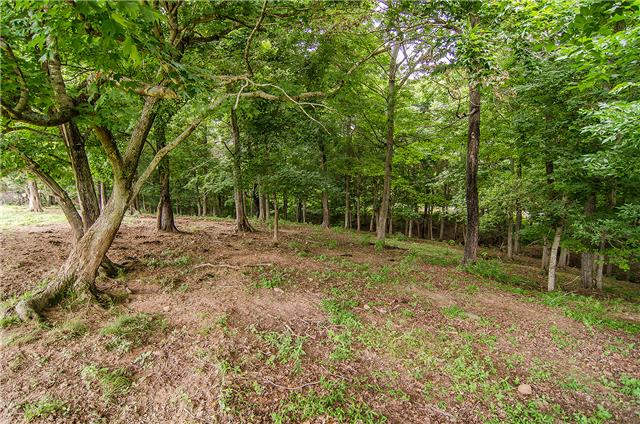 3463 Catholic Church Road Cedar Hill, TN 37032 - Photo 12 of 19 Surrounded by tranquil woods