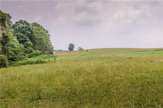 3463 Catholic Church Road Cedar Hill, TN 37032 - Photo 7 of 19 Romantic rolling hills covered in grass and lined with lush trees