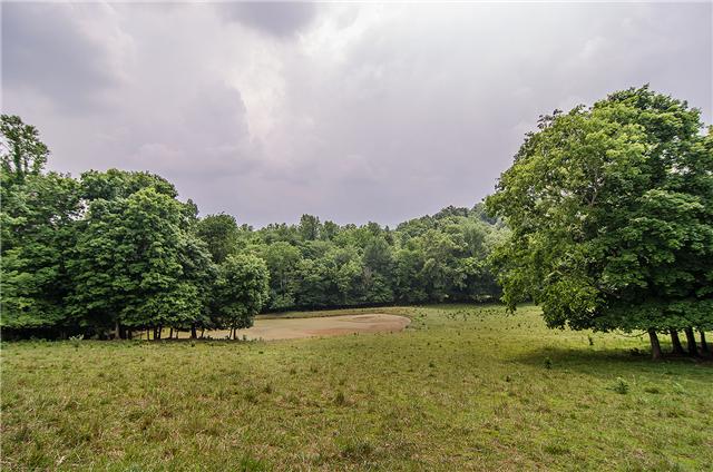 3463 Catholic Church Road Cedar Hill, TN 37032 - Photo 8 of 19 Pond tucked into the landscape
