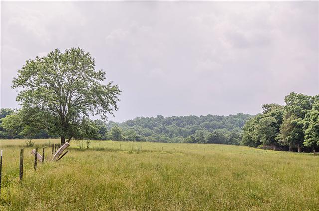 3463 Catholic Church Road Cedar Hill, TN 37032 - Photo 9 of 19 Tennessee's finest country - imagine a picnic...