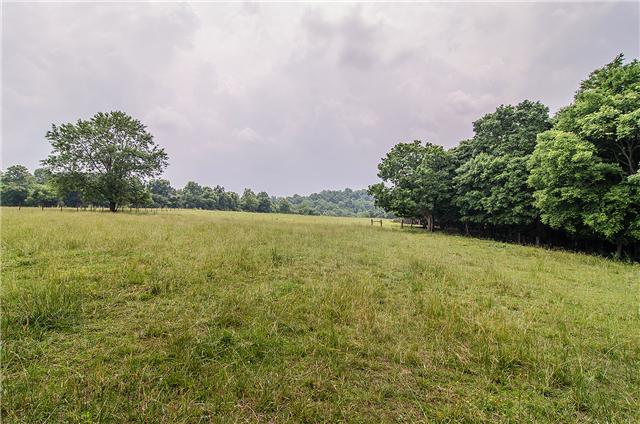3463 Catholic Church Road Cedar Hill, TN 37032 - Photo 10 of 19 Fenced, beautiful lot