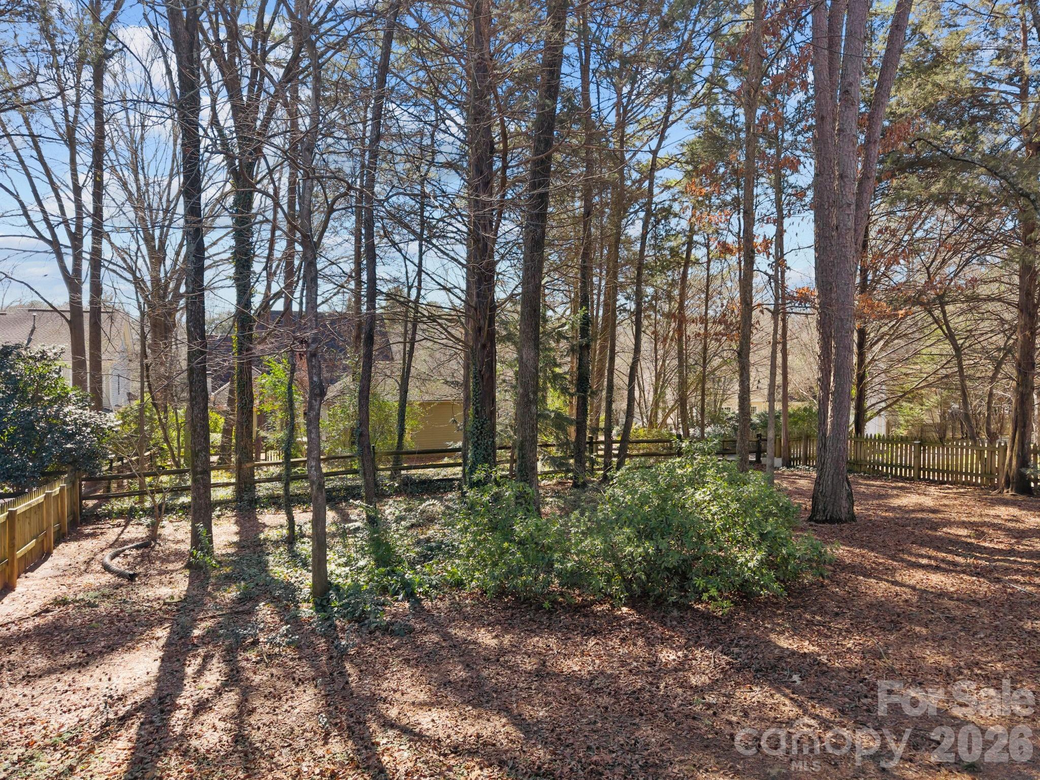 100 Martin Street Davidson, NC 28036 - Photo 11 of 47 a view of outdoor space with lots of trees