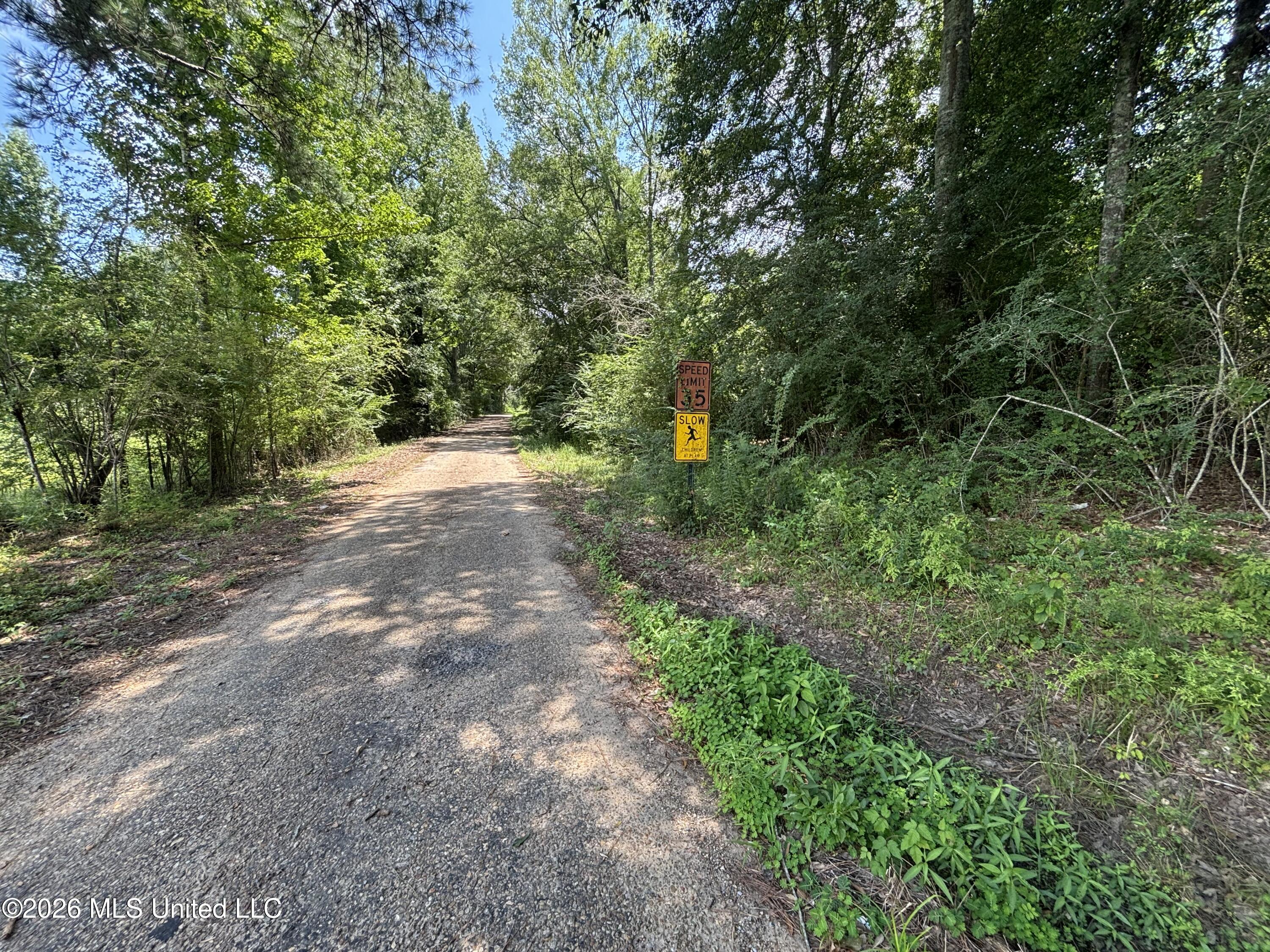 131 B County Road Morton, MS 39117 - Photo 20 of 25 IMG_4843