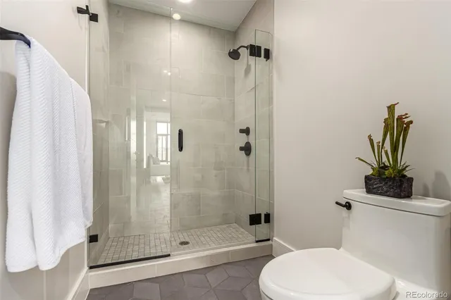 a bathroom with a shower and a toilet